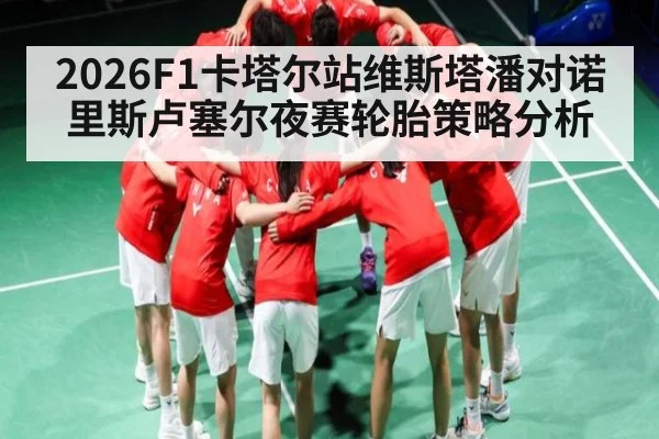 2026F1卡塔尔站维斯塔潘对诺里斯卢塞尔夜赛轮胎策略分析
