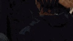 世预赛官网安装-别生气了哈登...他竟然笑着跟登哥求和