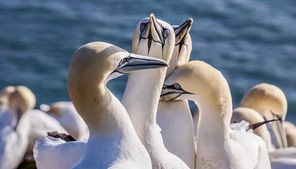 世预赛官网安装-季前赛两战19中3！格兰特意气用事正造成三输局面