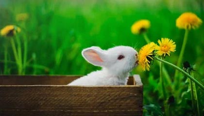 世预赛官网安装-阿奇姆彭：今年总体比较成功 认为球队做得非常棒